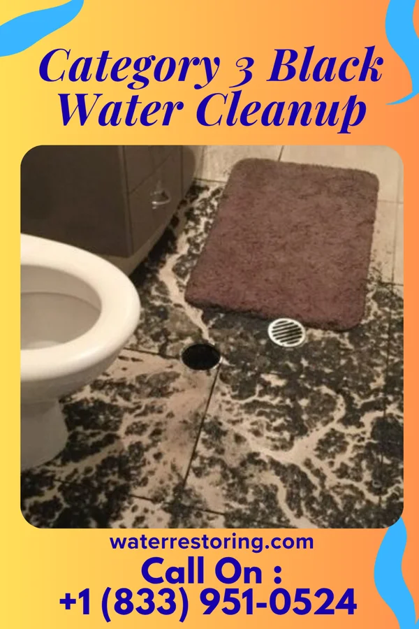 Category 3 Black Water Cleanup in Dardanelle, AR